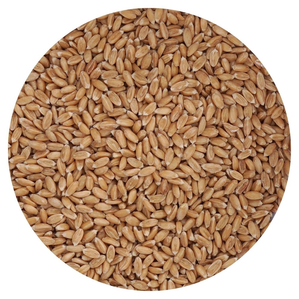 Spelt Berries, 1.5 Pound Bulk Bag, Hampton Distribution