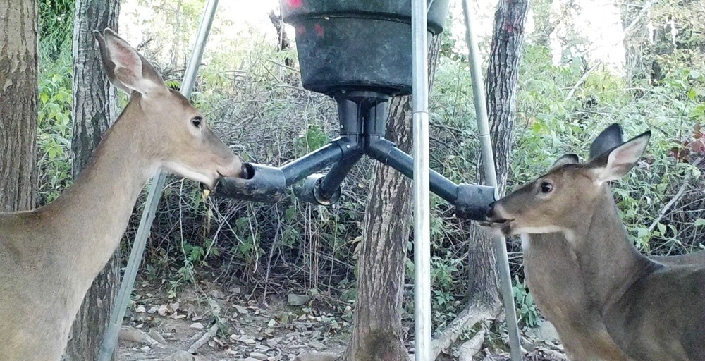 SPYDER Gravity Feeder Attachment