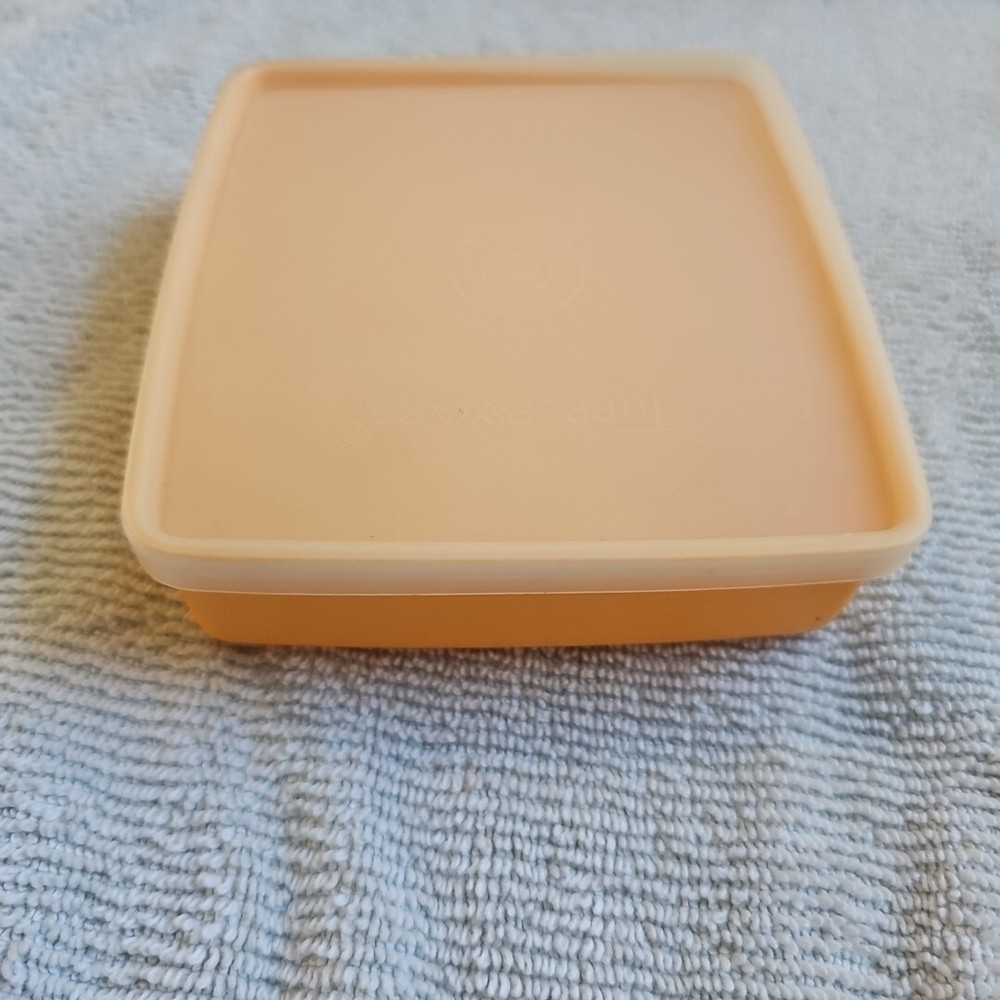 Tupperware Mango/orange Colored Sandwich Keeper