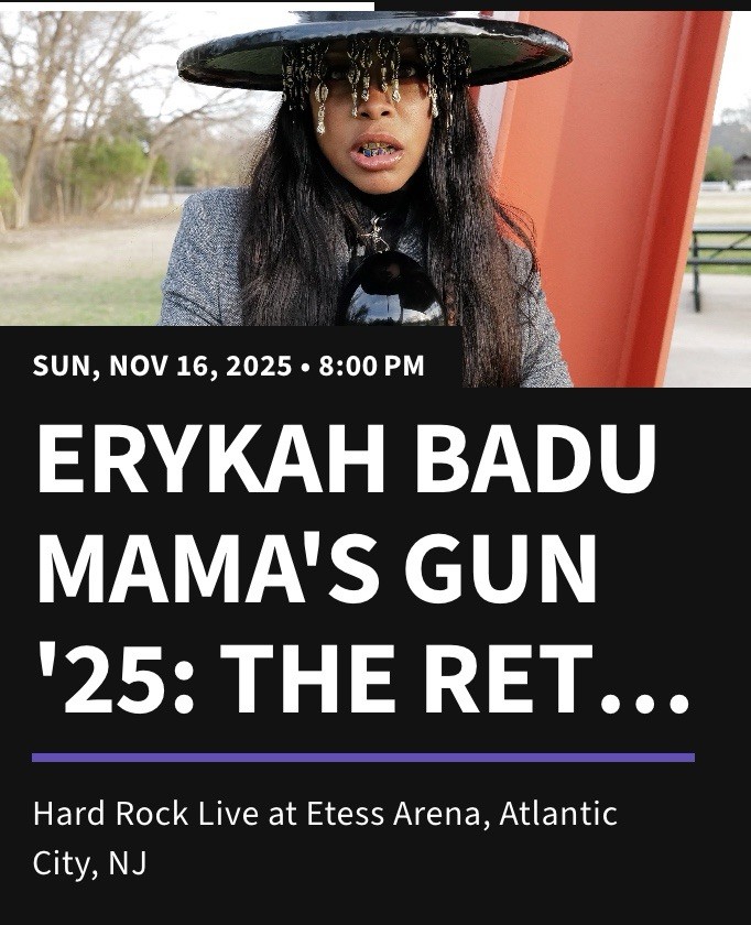 Erykah Badu Mama's Gun