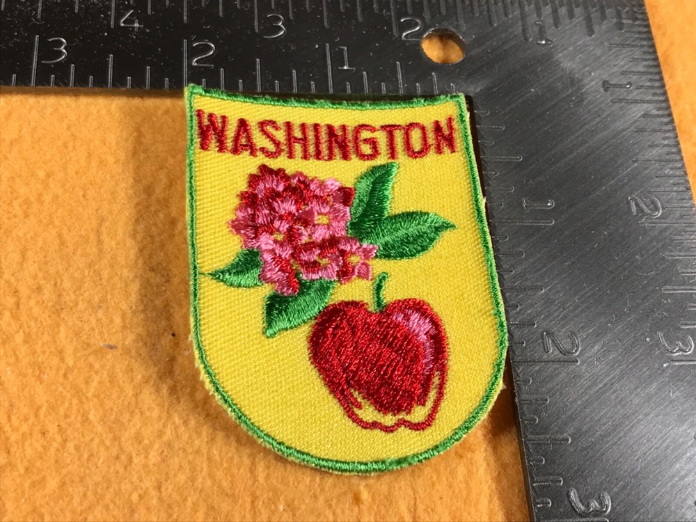 S2-25 WASHINGTON PATCH