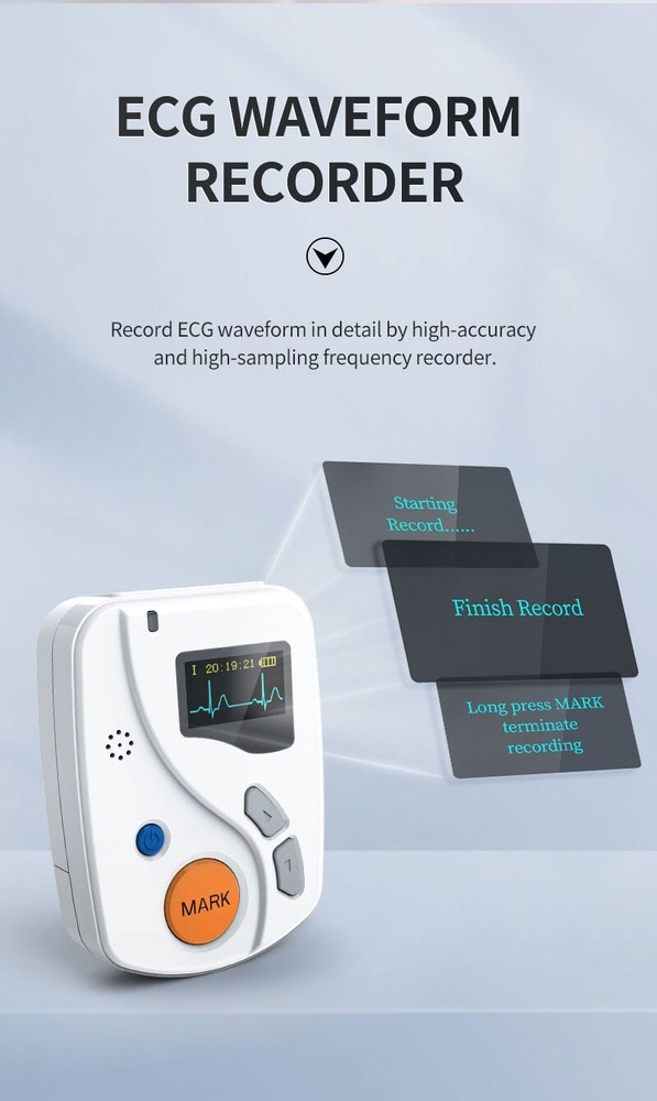 New 24-Hour 12-Lead Holter ECG Dynamic Recorder Analyzer System PC Software