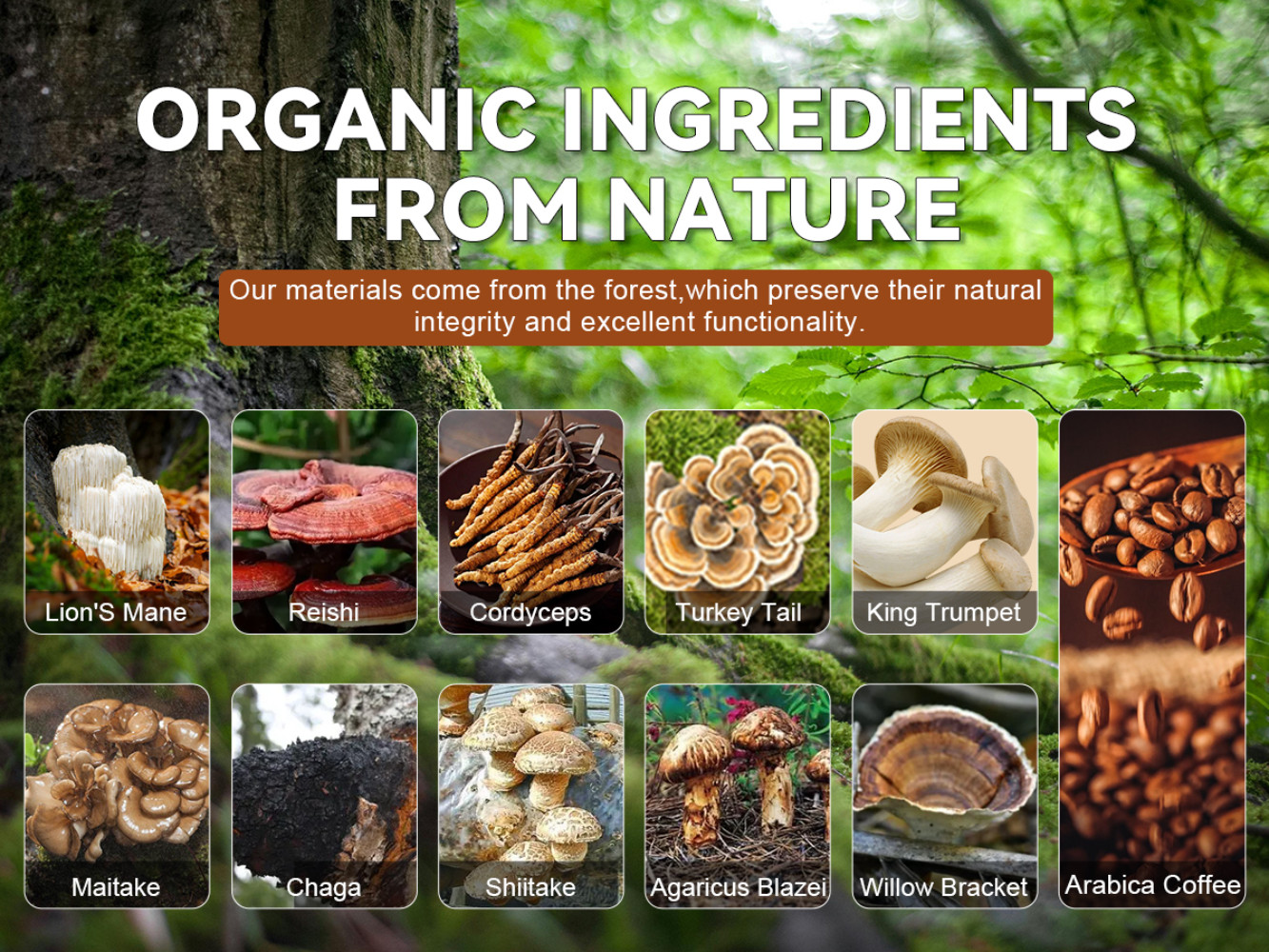 New Mushroom Coffee Organic Coffee 60 Servings in One Pack, No Odor, Exp 12/2027