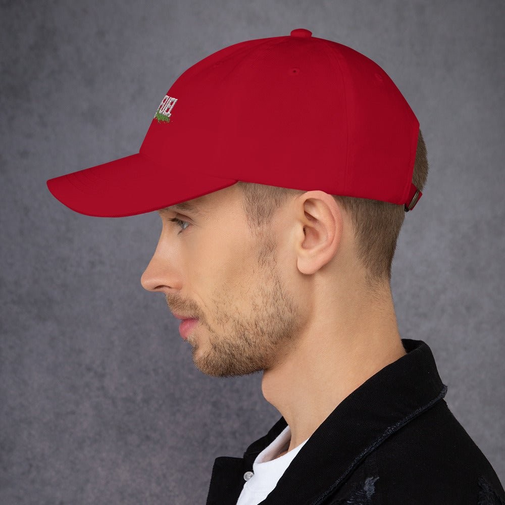 Dad hat Dark Colors