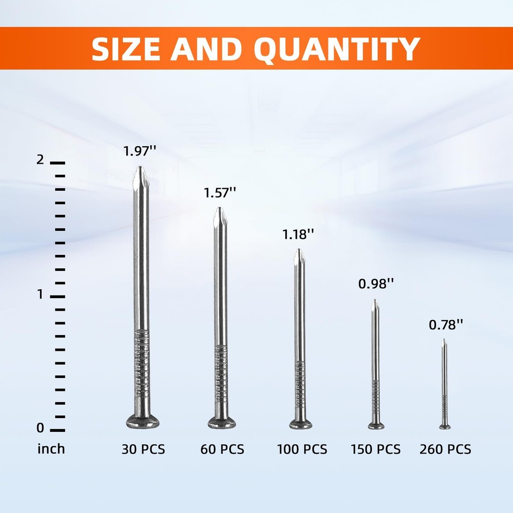 5 Sizes Hardware Nails Assortment Kit, Flat for Picture Wall Silver