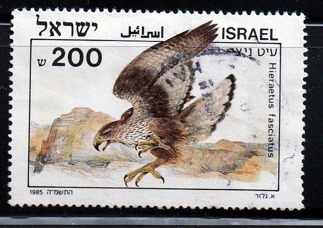 Israel Scott #897 used Bird Raptor stamp