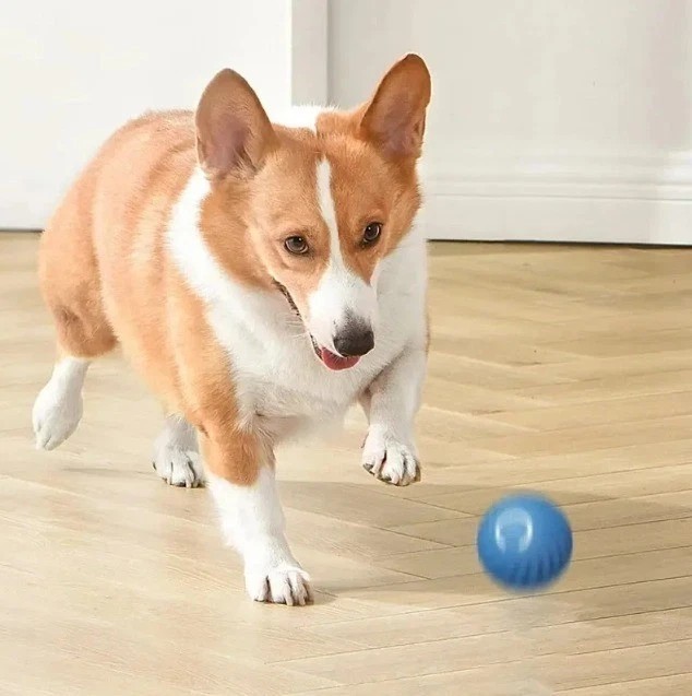 Smart Interactive Dog Toy Ball – USB Electronic Automatic Moving & Bouncing Pet.