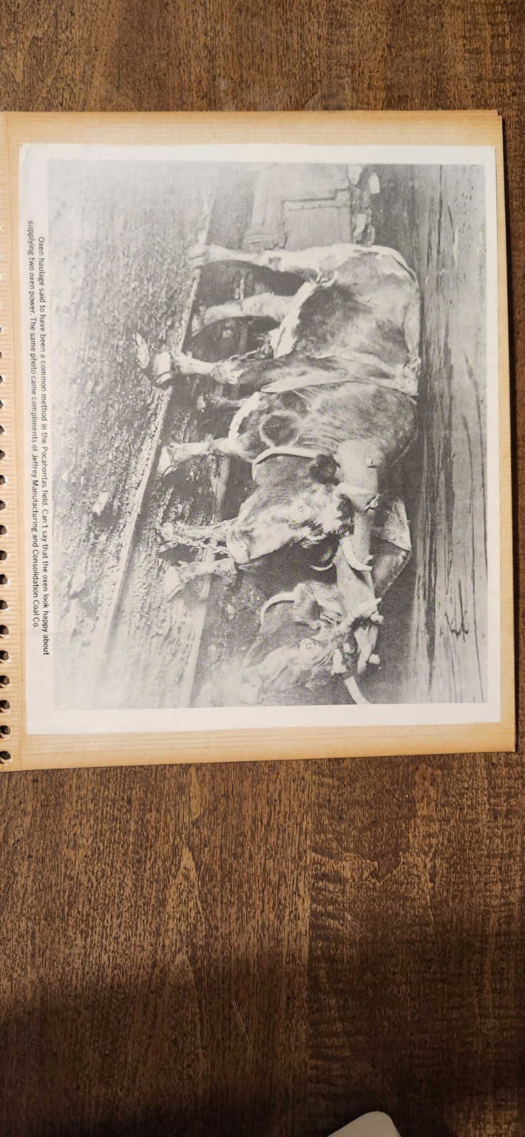 Three Vintage Black And White Copies Of Photographs Depicting Coal Haulage