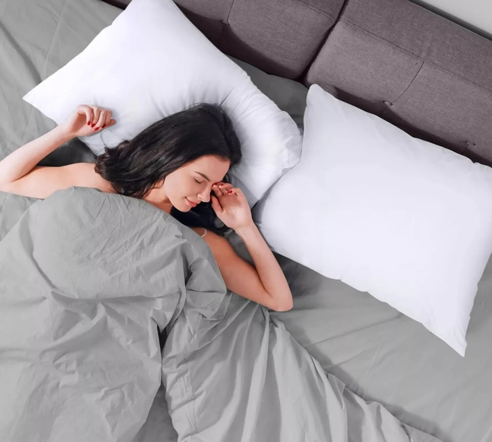 2 Pack Bed Bug Proof Zippered Pillow Encasement 100% Waterproof LASSANI