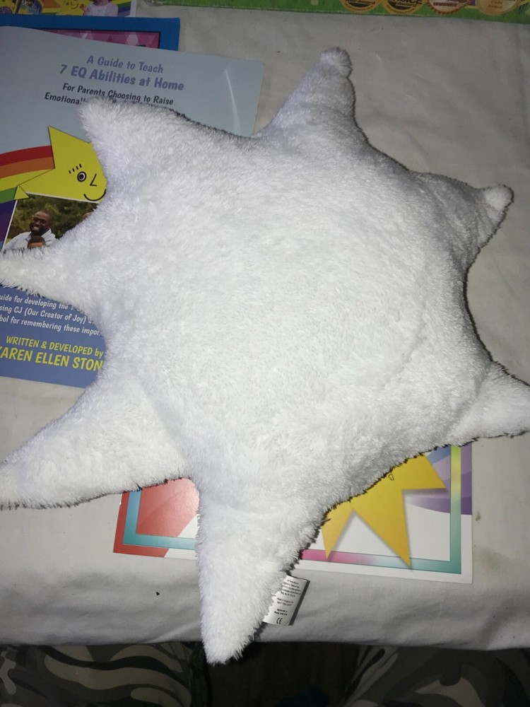SOFTSTONE Inc CJ Star/Sun PILLOW Emotional Intelligence & Well-Being EQ Program