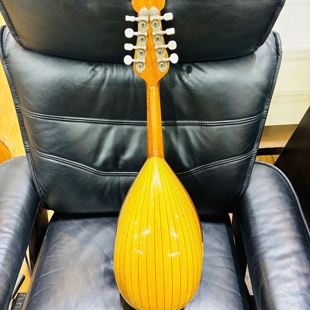 Noguchi Mandolin ST-147 Made in 2013