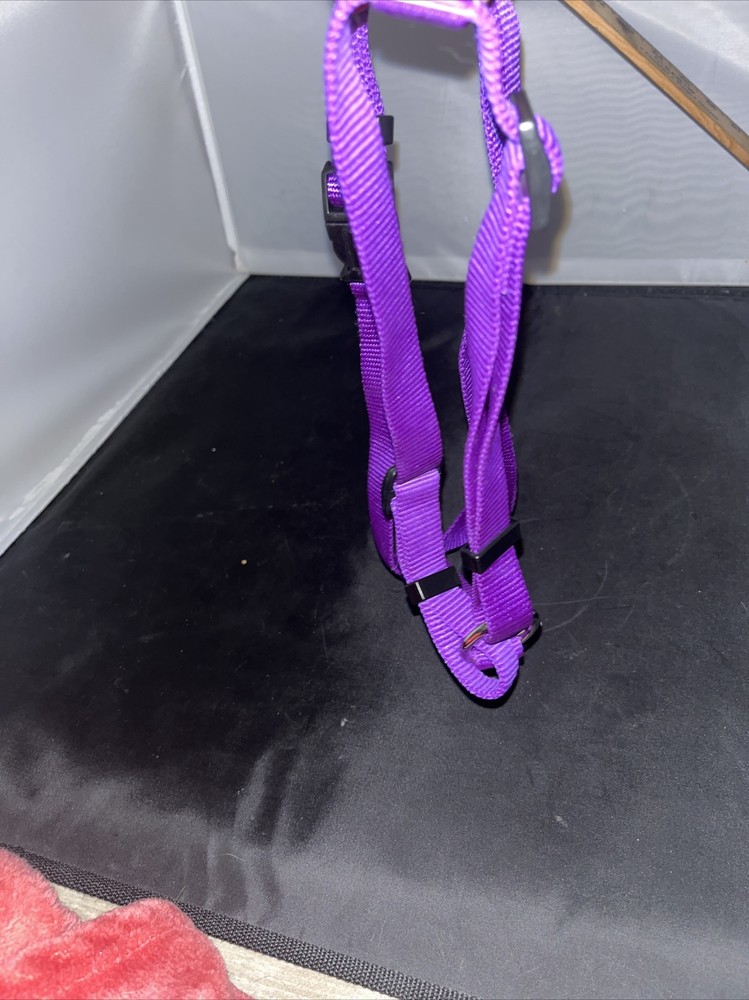 Purple Medium Harness