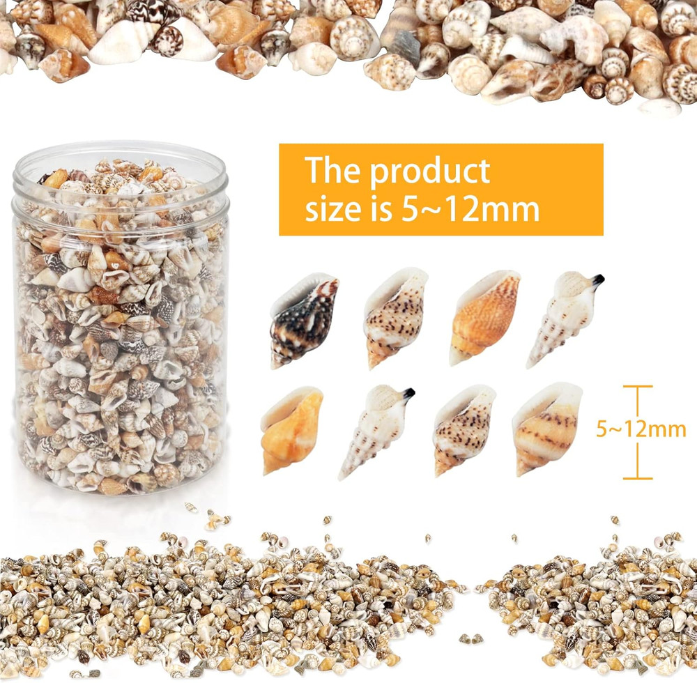 2000 Pcs Tiny Sea Shells for Crafting,Mixed Ocean Beach Mini Seashells Bulk f...