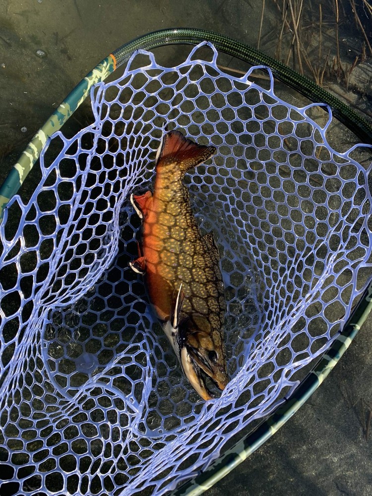 Fly & Bubble Casting Rig