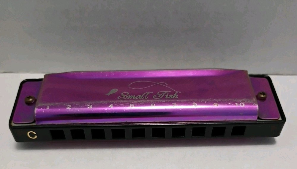 Small Fish Beginners Harmonica Harp 10 Hole Diatonic 10 Hole