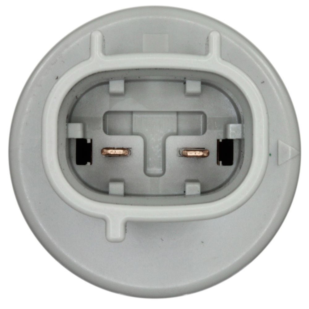 Parking Light Bulb Socket WVE 1P2443