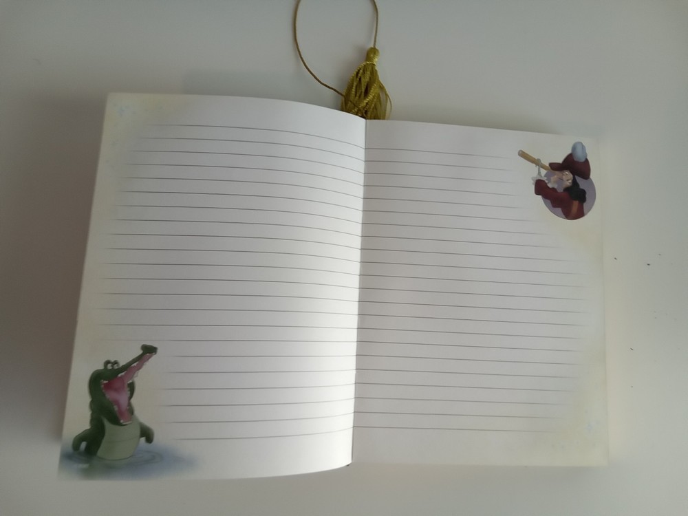 Hard Cover Tinkerbell Gold Edged Lined Journal Diary Notes