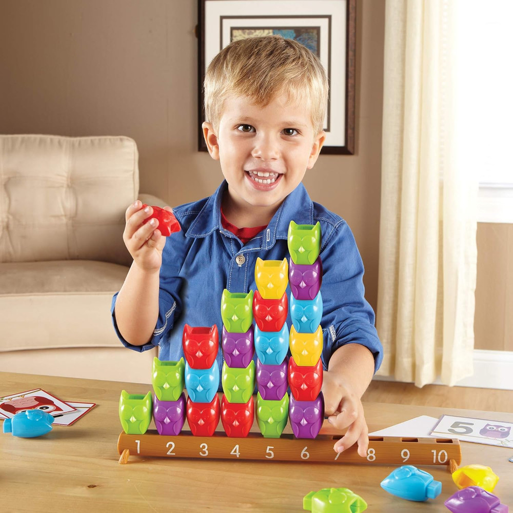 1-10 Counting Owls Activity Set, Counting & Sorting Toys, Math Game, Fine Motor