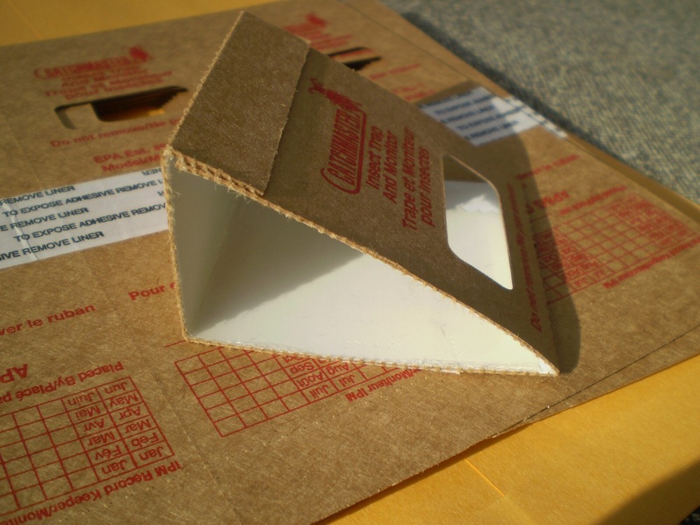 Insect Bug Roach Sticky Trap Qty 300 (Full Box)