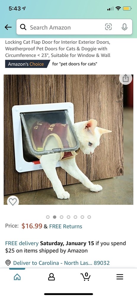 TC-Home 4-Way Cat Locking Flap Door - White