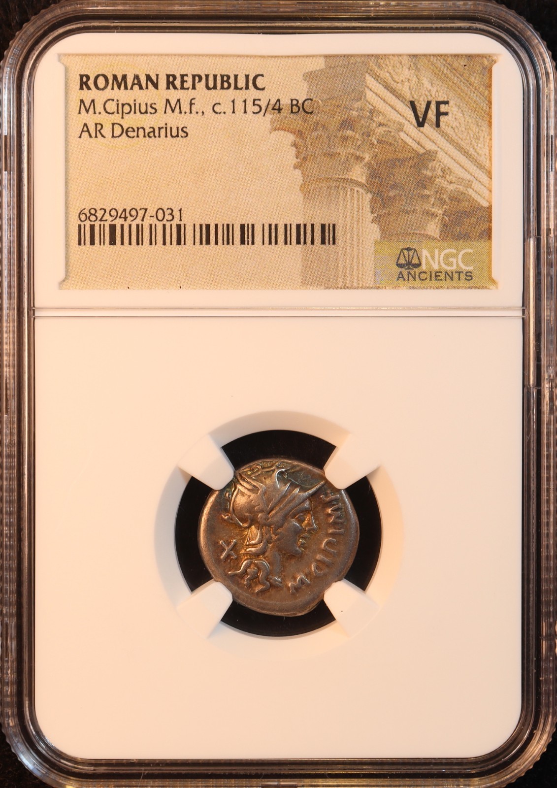 Roman Republic M. Cipius Denarius (115 BC) - NGC VF! Gorgeous & Rare Toning! PQ+