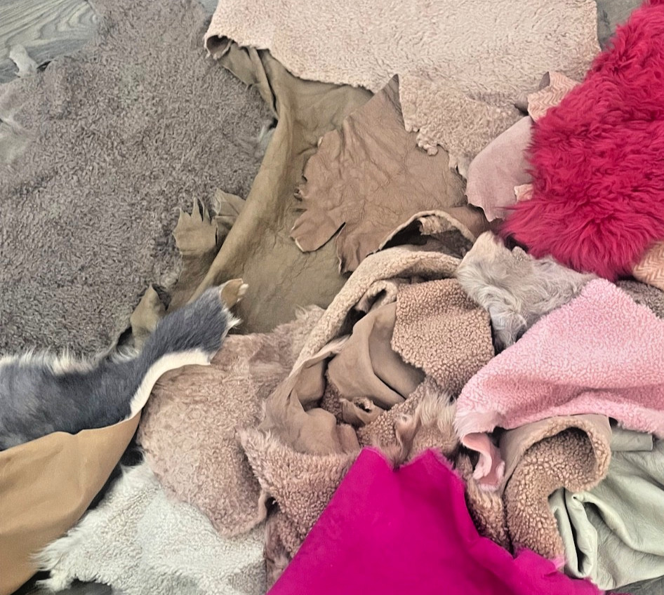 18 Shearing lamb hides big lot.