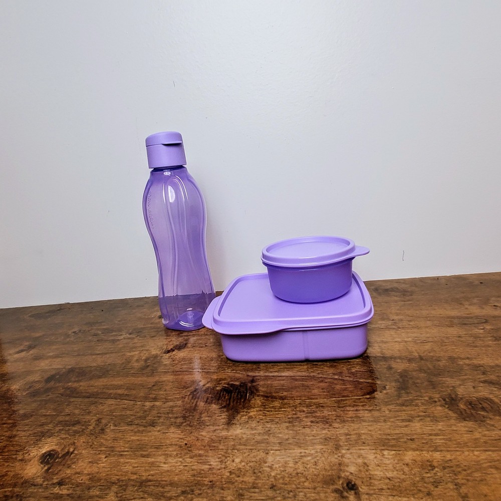 Eco-Friendly Tupperware Lunch Set Sandwich Box, Snack Container