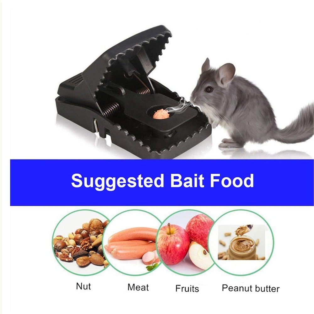 Mouse Trap, Mice Traps That Work Best Snap Traps for Small Mice and Mouse