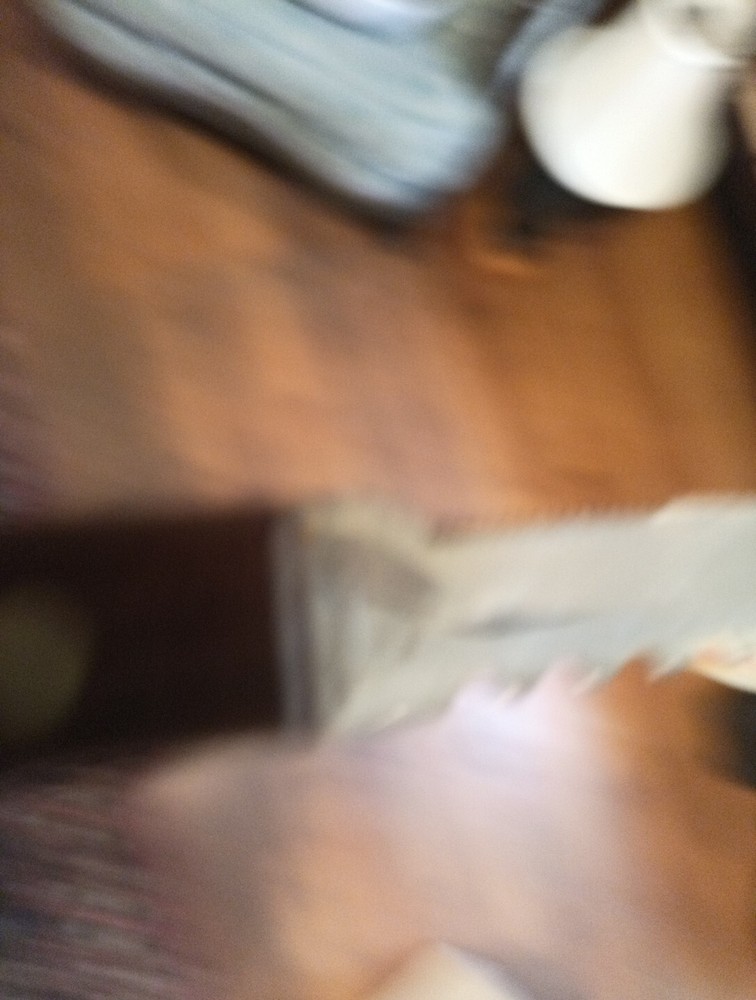 Cattaraughs Fillet Knife