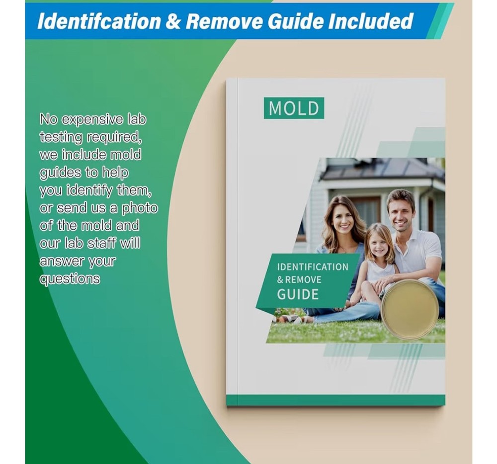 Healthful Home 12-Test Mold Detection Kit