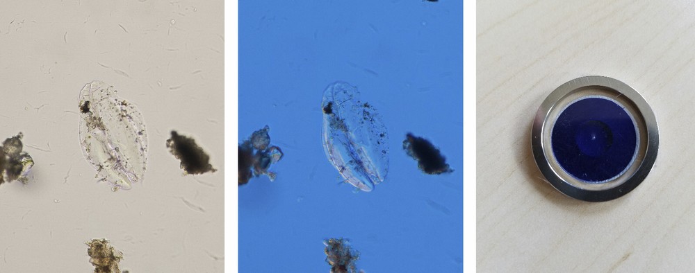 Microscope Technical Support | 30-Minutes by Phone | Buy, Use, Repair Advice