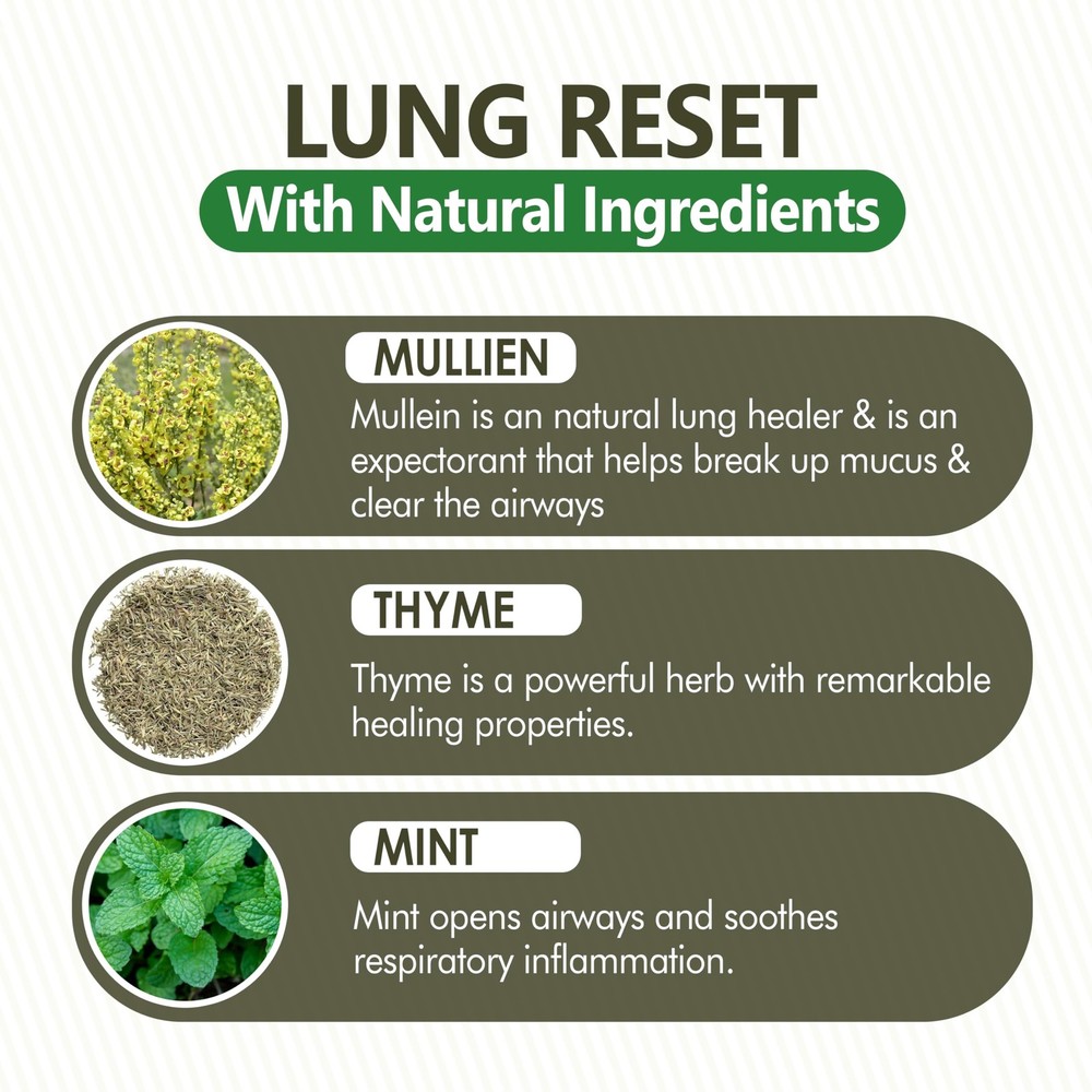 Lung Detox Rechargeable Mullein Diffuser Pen | Natural Mullein Leaf | Lung He...