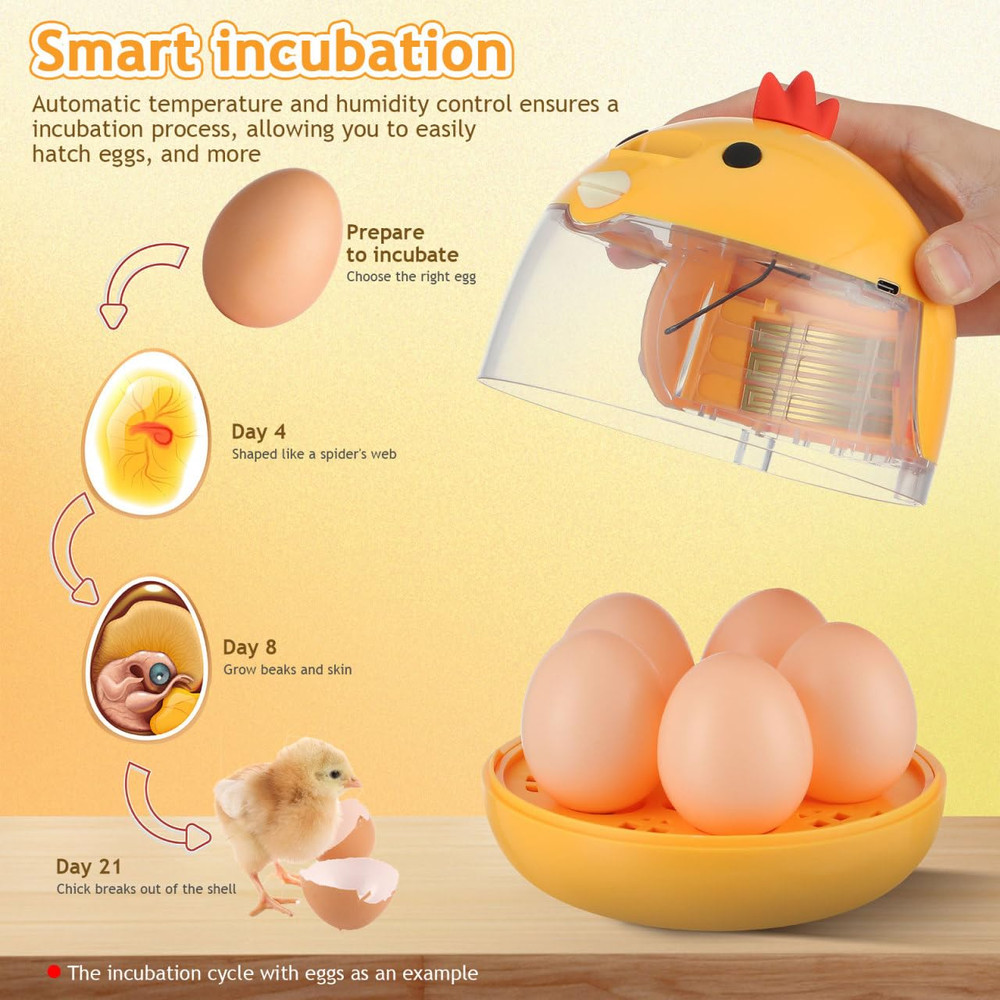 5 Egg Incubator with Automatic Temperature and Humidity Control - Small Bird Inc