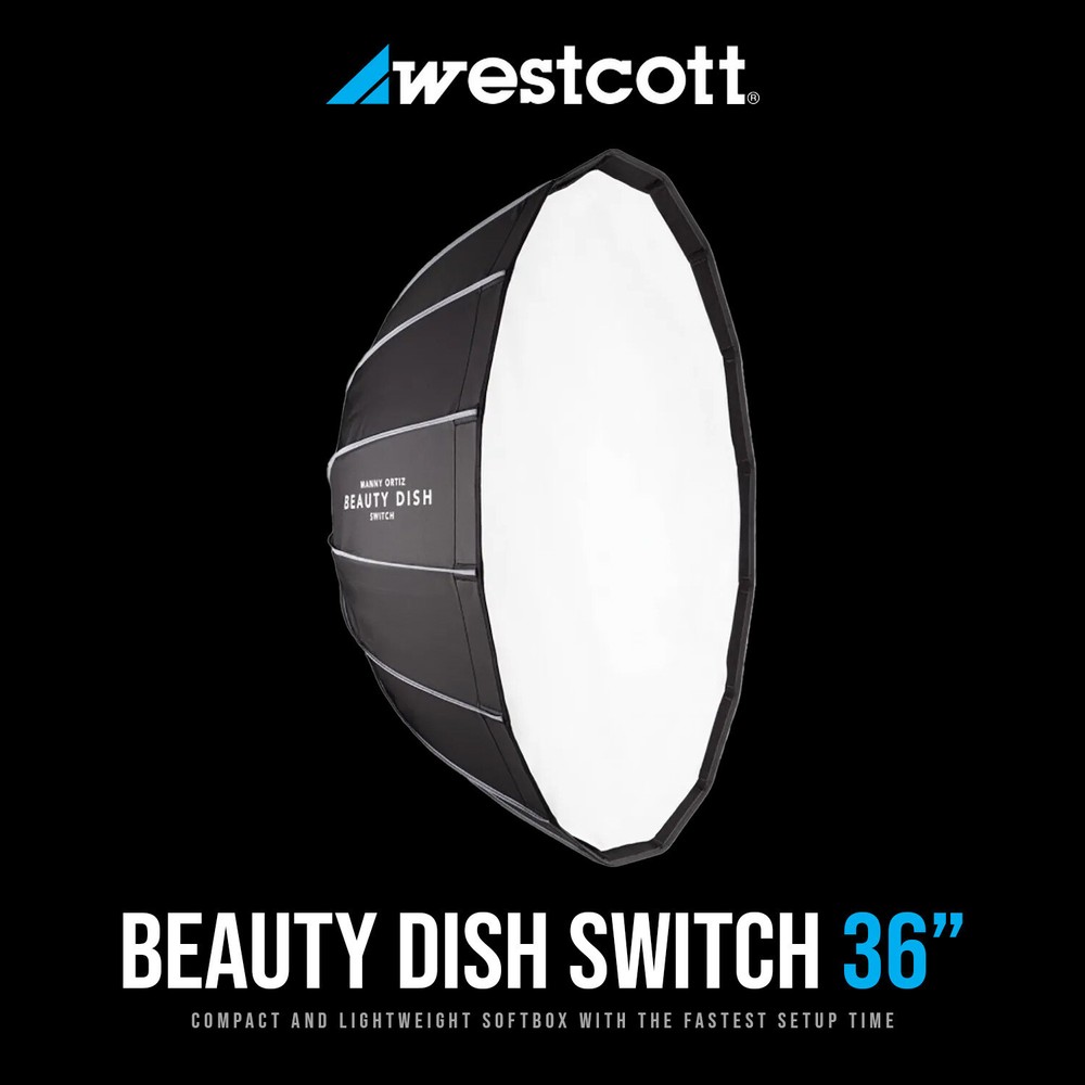 Westcott 36 Inch White Interior Beauty Dish Switch with Switch Insert Bundle