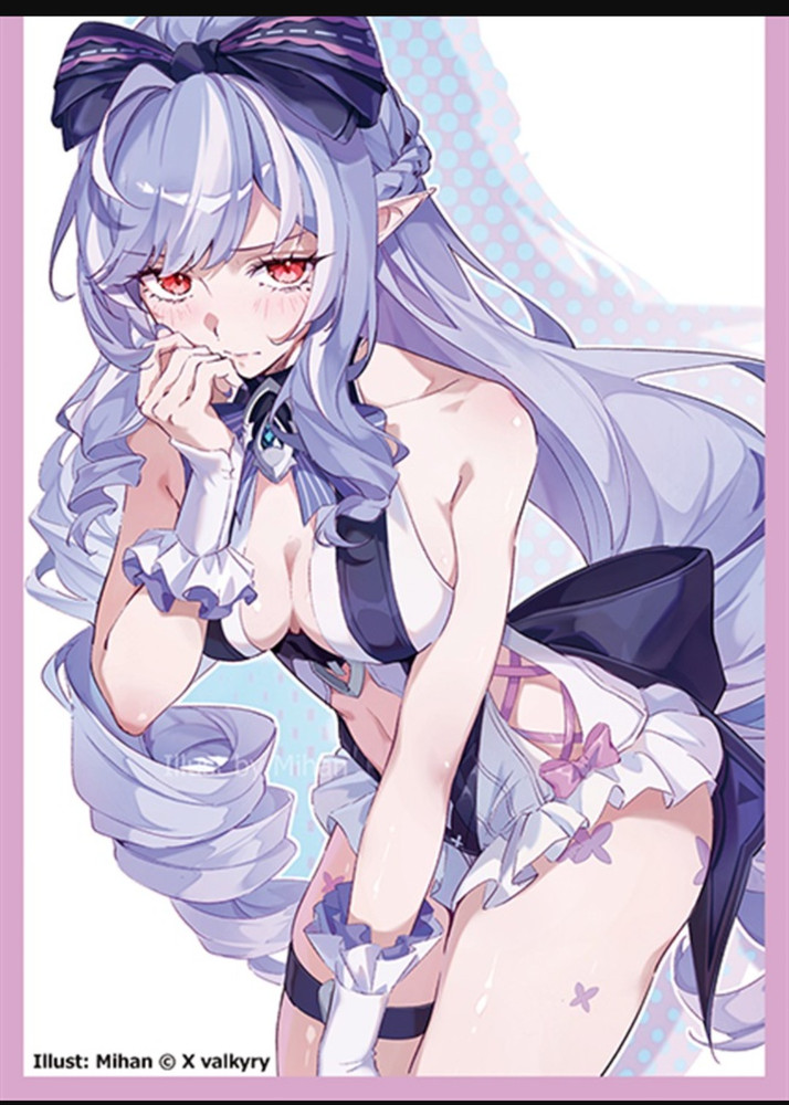 Zenless Zone Zero　Doujin Card Sleeve Protector japan