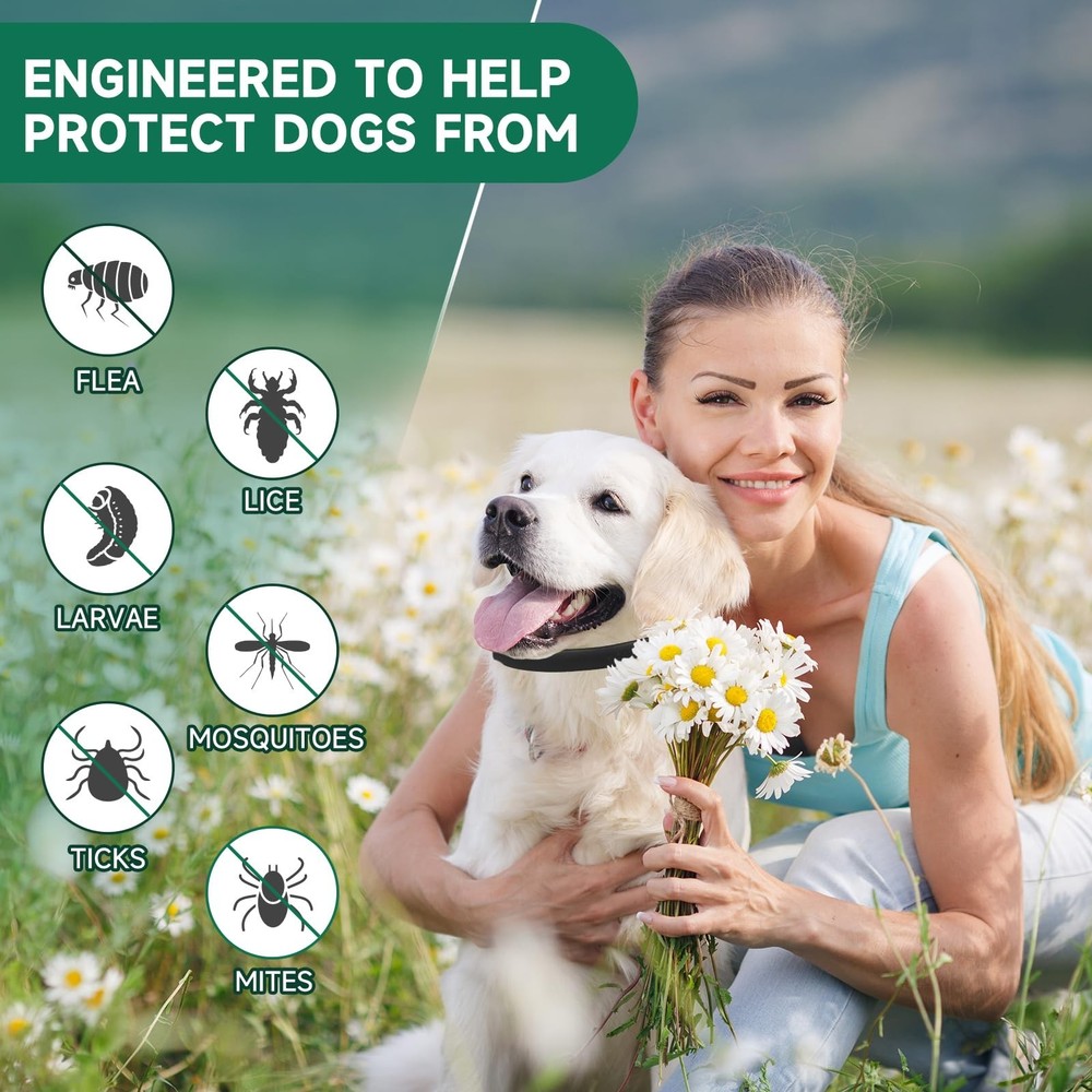 4 Pack Collar for Dogs