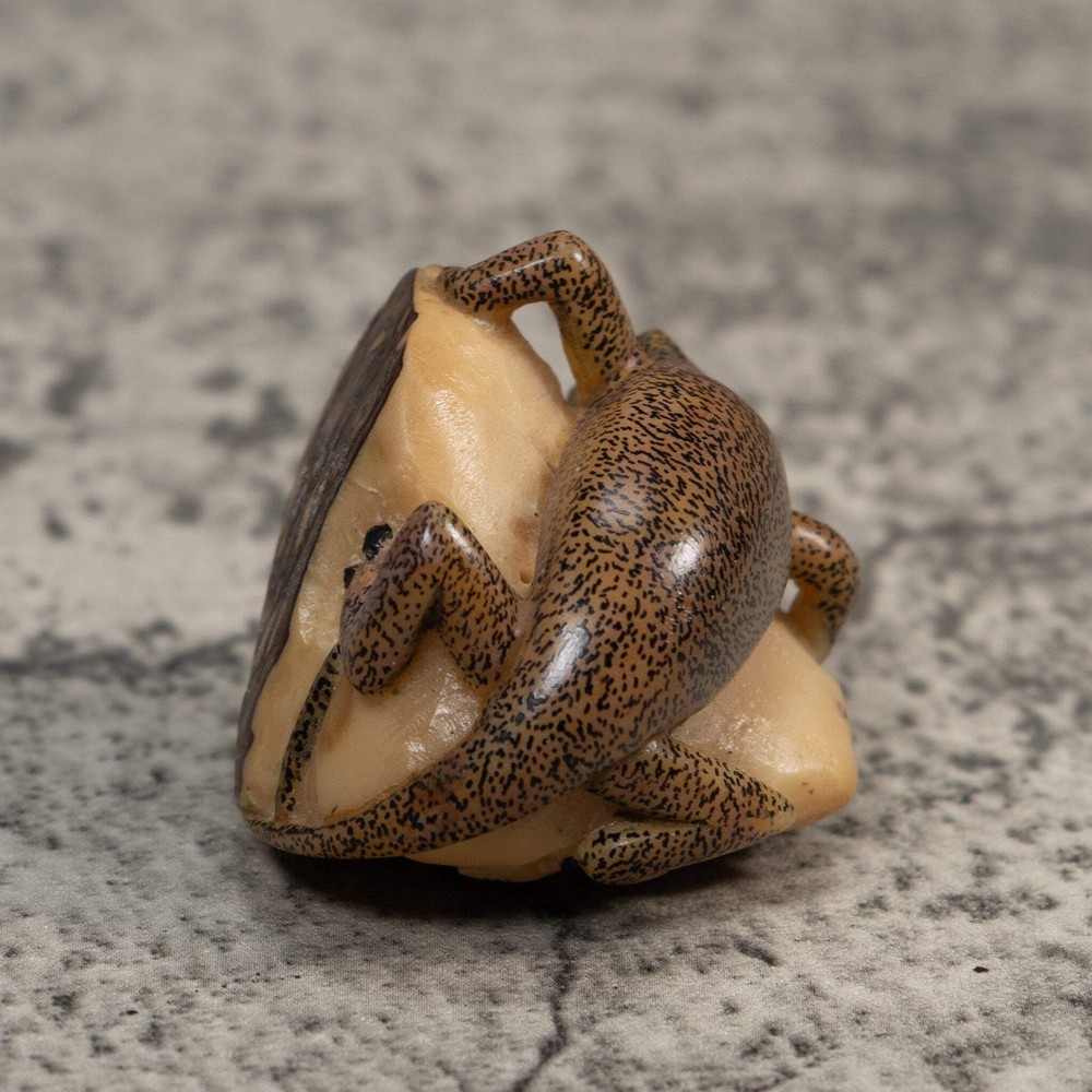 Double Brown Gecko Lizard Tagua Carving