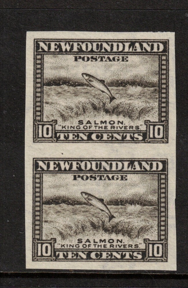 Newfoundland #193a Very Fine Never Hinged Imperf Pair