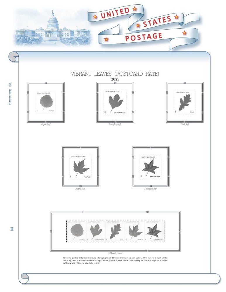 2025 U.S. Regular Issue Singles COMPLETE Supplement (White Ace Alternative)