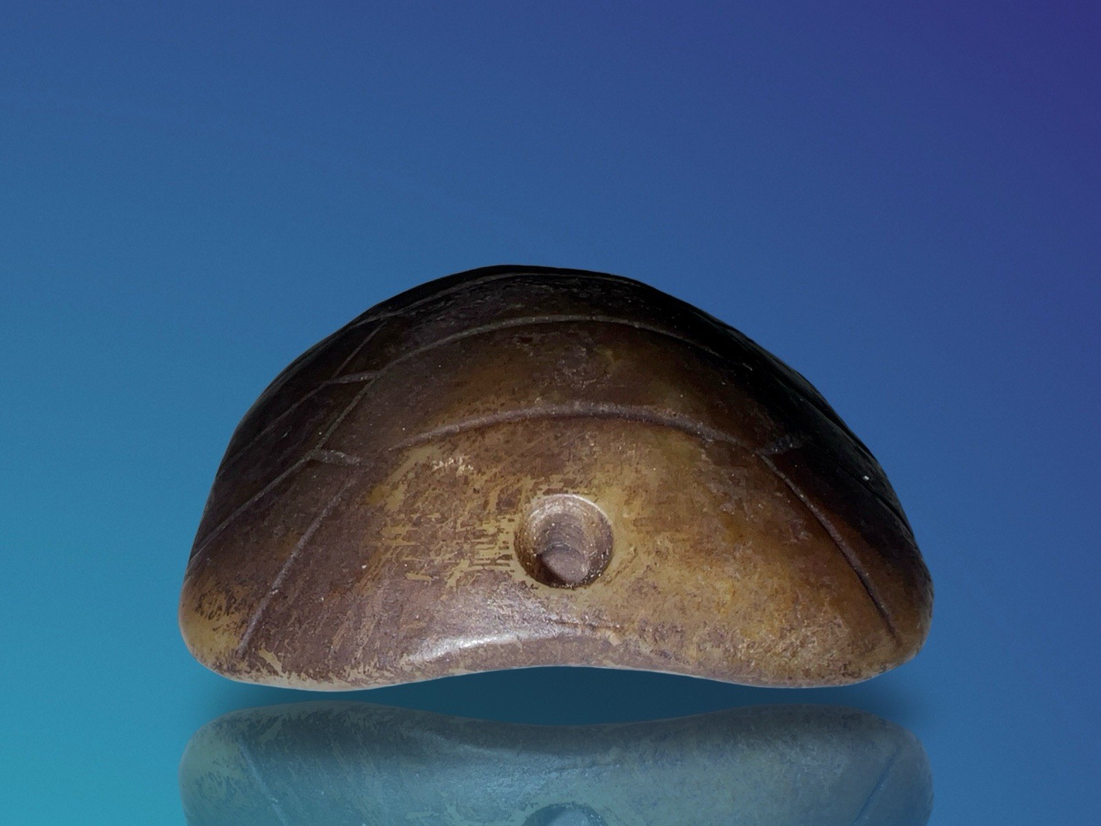 Pueblo Native American Turtle Fetish Pendant c.1800s – Pump Drilled
