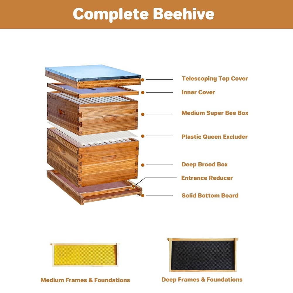 Beehive 10-Frame Langstroth Bee Hive Coated with Beeswax, Beehive Starter Kit