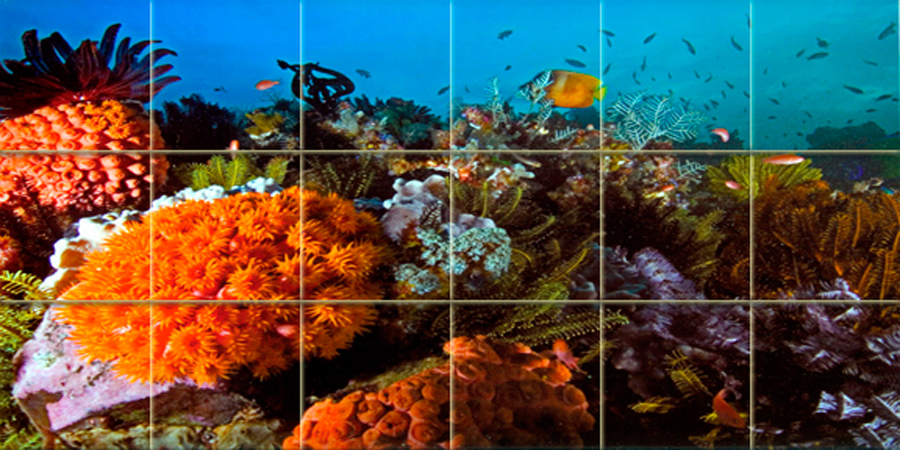 Art Ocean Underwater Mural Ceramic Backsplash Bath Tile #346