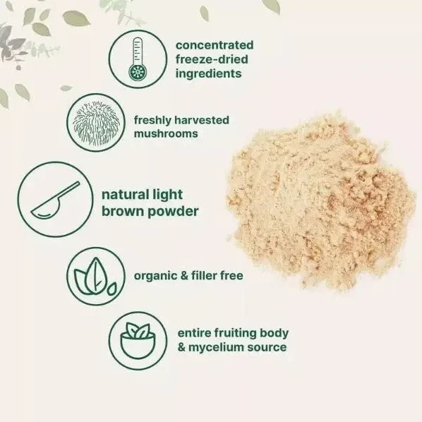 Lion's Mane Mushroom Powder | Pure Lions Mane 10:1 Strength Extract 16oz Organic