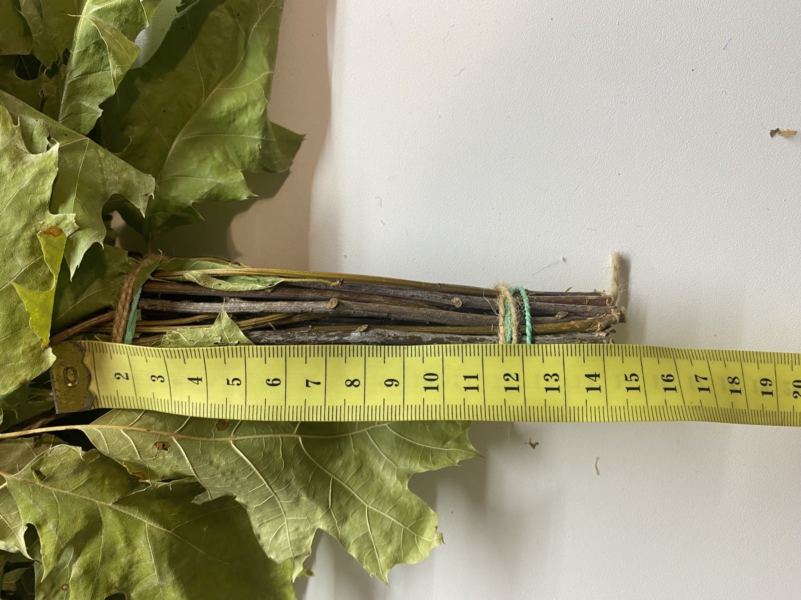 10 Oak with herbs lin brooms sauna banya venik Eiche whisks eco 2025 Ukrainian