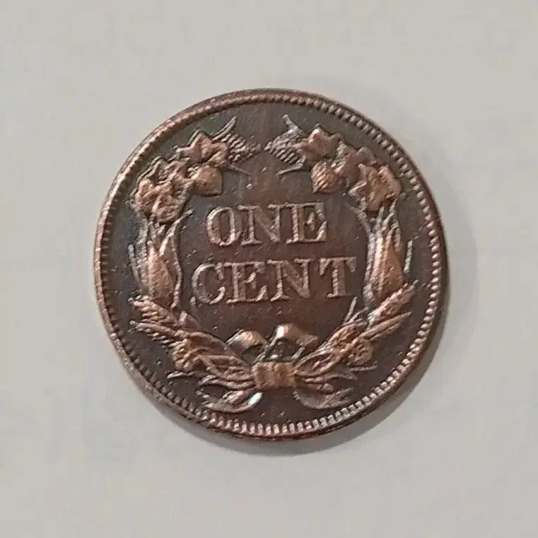 US 1856 Eagle 1-Cent Copper Coin Near Mint