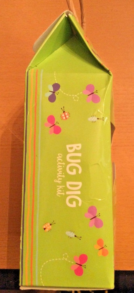 Bug Dig Insect Excavation Kit Dig Discover Bug Stone Activity Kit