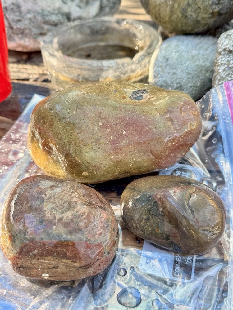 jasper rough lbs Polychrome 7 Lbs