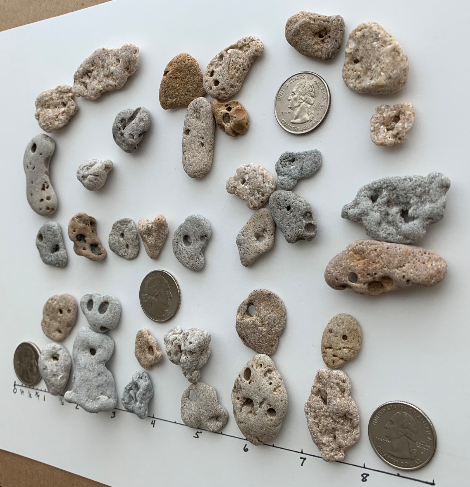 35 Adder Holey Beach Rocks Hag Stones Fairy Lucky Wish Magic Natural 1" #B1 US❤️