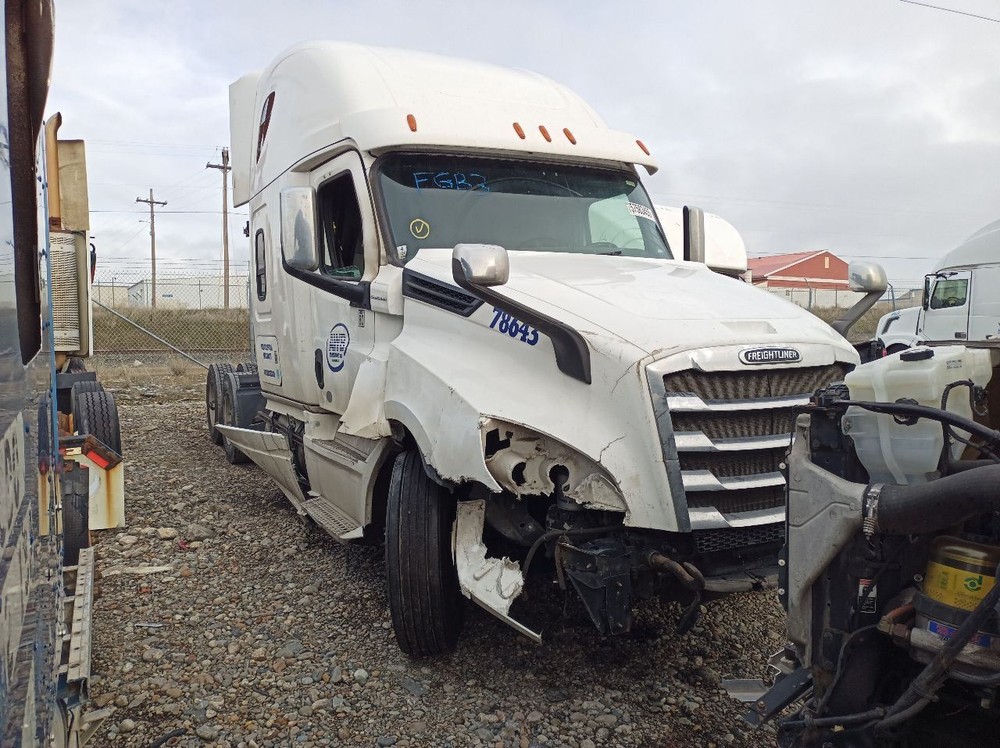 2019-UP Cascadia Bunk Ladder (12786746