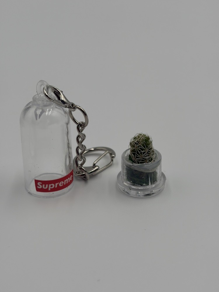 Supreme Cactus Keychain Box Logo SS18